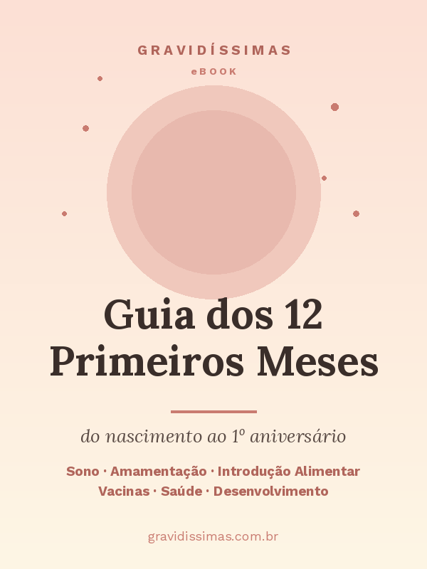 Capa do eBook Guia dos 12 Primeiros Meses